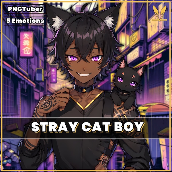 PNGTuber Stray Cat Boy 2D premade model with 5 Emotions for streaming | Veadotube | png | Twitch | male pngtuber