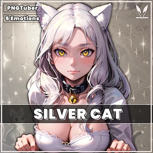 PNGTuber - Silver Cat Girl | 5 Expressions | Premade | Animal model | Streamer | Cat | 2D Model Assets | Veadotube | pngtuber