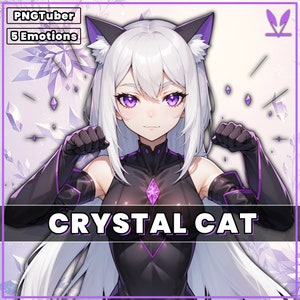 PNGTuber Crystal Cat Girl with 5 Emotions 2d premade pngtuber girl png model asset tuberdesigns for veadotube