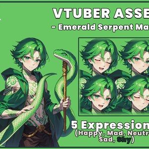 K&ouml;nnte beinhalten: Digitale Illustration eines gr&uuml;nh&auml;utigen Anime-Charakters mit gr&uuml;nen Haaren, der eine gr&uuml;ne Robe tr&auml;gt und einen Stab mit einer gr&uuml;nen Schlange h&auml;lt, die sich um ihn herumwickelt. Der Charakter hat f&uuml;nf verschiedene Gesichtsausdr&uuml;cke: gl&uuml;cklich, w&uuml;tend, neutral, traurig und sch&uuml;chtern.