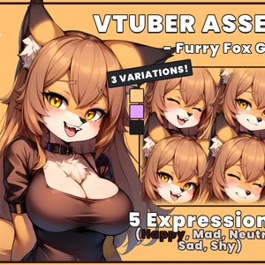 May include: A digital illustration of a furry fox girl with brown fur, wearing a brown top and a black choker. The image includes five different expressions of the character, including happy, mad, neutral, sad, and shy. The text "VTUBER ASSET - Furry Fox Girl" and "3 VARIATIONS!" are also included in the image.
