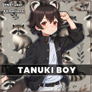 PNGTuber Cute Takuki Boy 2D premade model with 5 Emotions full body male raccoon pngtuber png asset tuberdesigns