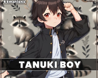 PNGTuber Cute Takuki Boy 2D premade model with 5 Emotions full body male raccoon pngtuber png asset tuberdesigns