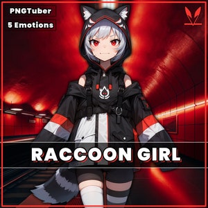 PNGTuber Raccoon Dog Girl 2D premade model with 5 Emotions for streaming | Veadotube | Pet | female girl animated pngtuber