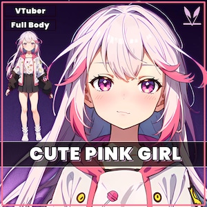 VTuber prefabricado: Chica linda rosa para vtube studio como un lindo modelo 2D en vivo de chica vtuber de cuerpo completo personalizable