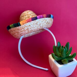 Pu&ograve; includere: Un sombrero di paglia con una fascia a righe colorate, attaccato a un cerchietto bianco. Una piccola pianta grassa in vaso &egrave; in primo piano.
