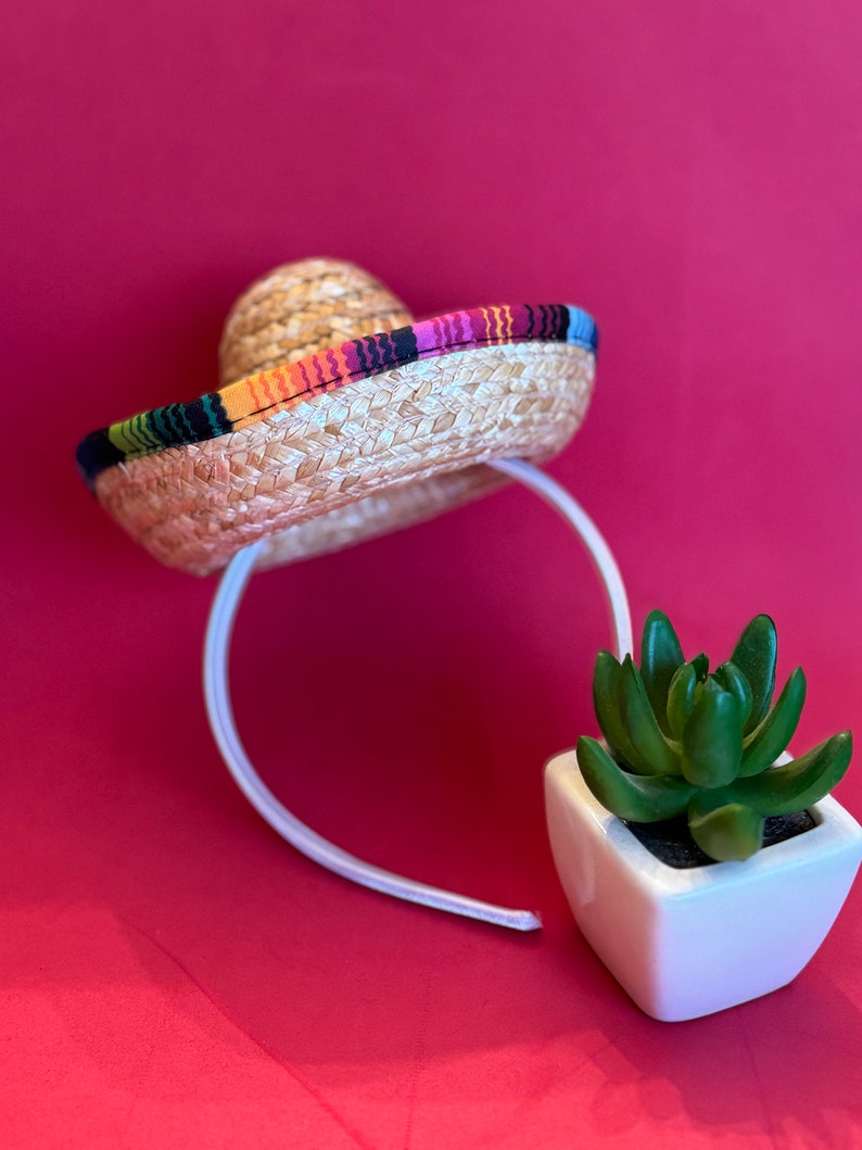 Pu&ograve; includere: Un sombrero di paglia con una fascia a righe colorate, attaccato a un cerchietto bianco. Una piccola pianta grassa in vaso &egrave; in primo piano.