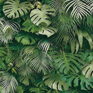 Fondo de safari/jungla