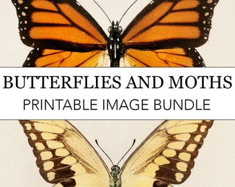 Butterflies and Moths 25 Printable Images Bundle // Butterfly Moth Paintings // Digital Art Print Insect Poster Instant Download