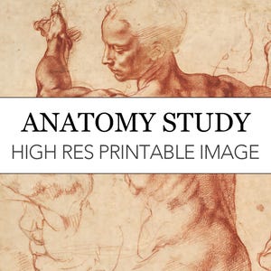 Könnte beinhalten: Anatomiestudie-Druck mit einer detaillierten Rotkreidezeichnung einer menschlichen Figur. Das Bild enthält den Text "ANATOMY STUDY" und "HIGH RES PRINTABLE IMAGE" in einem weißen Banner. Das Kunstwerk befindet sich auf einem beigefarbenen Hintergrund.