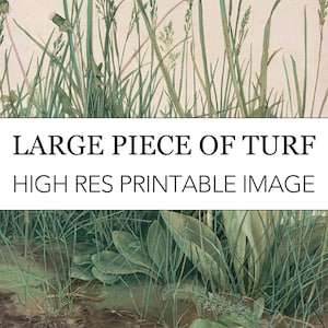 Large Piece of Turf Durer Digital Print // Albrecht Durer High Res Printable Download // Large Piece of Turf Art // Botanical Art