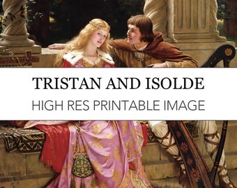 May include: A painting depicting Tristan and Isolde, a romantic couple from Arthurian legend. The woman is wearing a pink and red dress, while the man is wearing a brown cloak. They are sitting together in a garden setting, with a harp in the background.