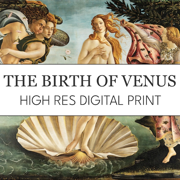 The Birth of Venus Botticelli Digital Art Print // Renaissance Painting // High Res Printable Instant Download // Goddess Mythology Poster