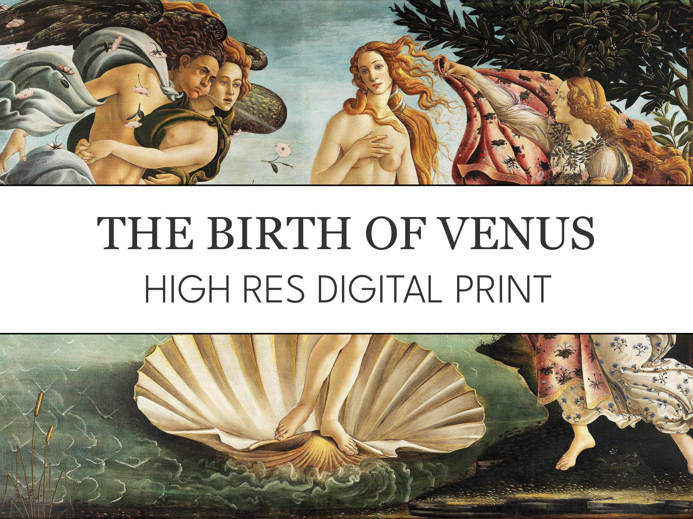 Birth of Venus Print - Etsy