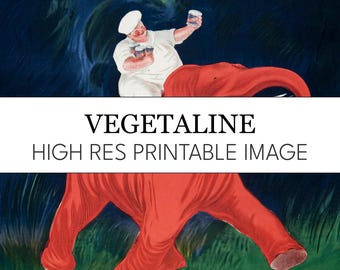 Vegetaline Cappiello Print: Vintage Art Nouveau French Cafe Poster (Digital Download)