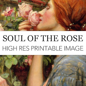 Stampa digitale stampabile anima della rosa // Download di immagini ad alta risoluzione preraffaellita di John William Waterhouse // Stampa anima della rosa a casa