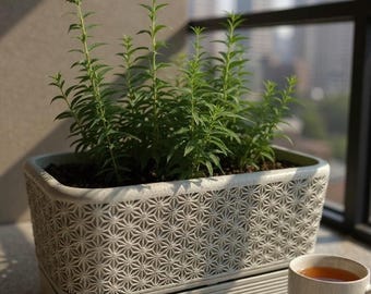 Self Watering Herb Planter, Rectangular Komori Planter, White