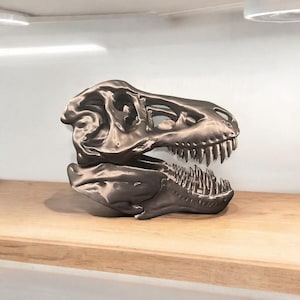 Tyrannosaurus Rex Skull
