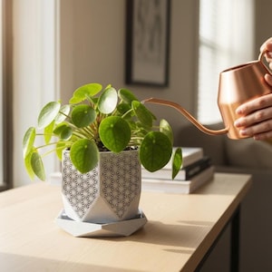 Hex Facet Planter | Geometric Ceramic Pot Succulents, Small Plants (4 x 4.8 x 4.5in)