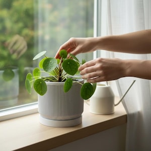 Indoor planter pot with tray, ribbed small gray nordic design