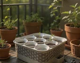 Hydroponic Seed Starting Kit with Tools – Indoor Garden Grow Kit