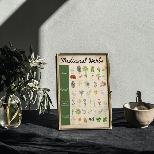 Uso de hierbas medicinales y efectos Cheat Sheet Art Print - varios tamaños imprimibles, incluido el póster