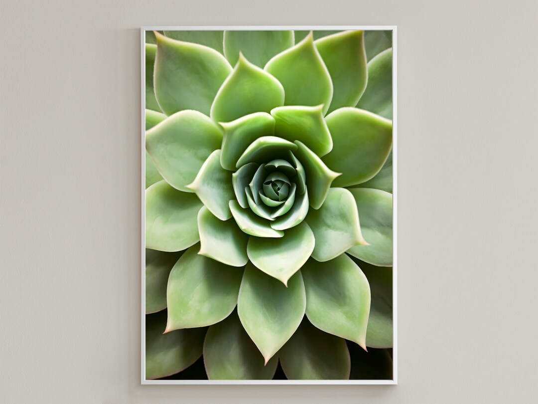 Succulent Printable Wall Art and Digital Download. / Botanical Art ...