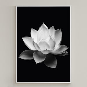 Black & White Lotus Flower Printable Wall Art / Art Print / Botanical Wall Decor / Floral Digital Print/ Fine Art /Digital Download