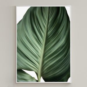Tropical Leaf Printable Wall Art and Digital Download. / Botanical Art Print / Palm Wall Decor / Large Beach Digital Print