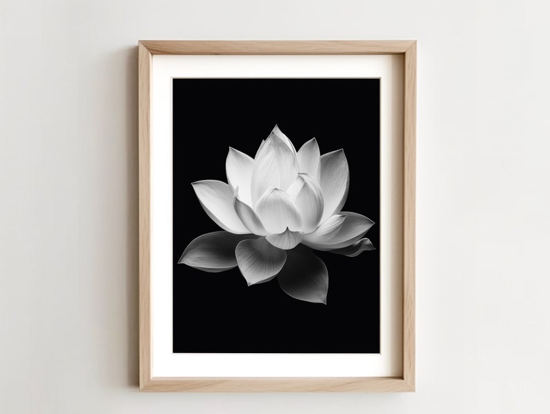 Black & White Lotus Flower Printable Wall Art / Art Print / Botanical ...