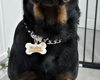 Doggy name tag