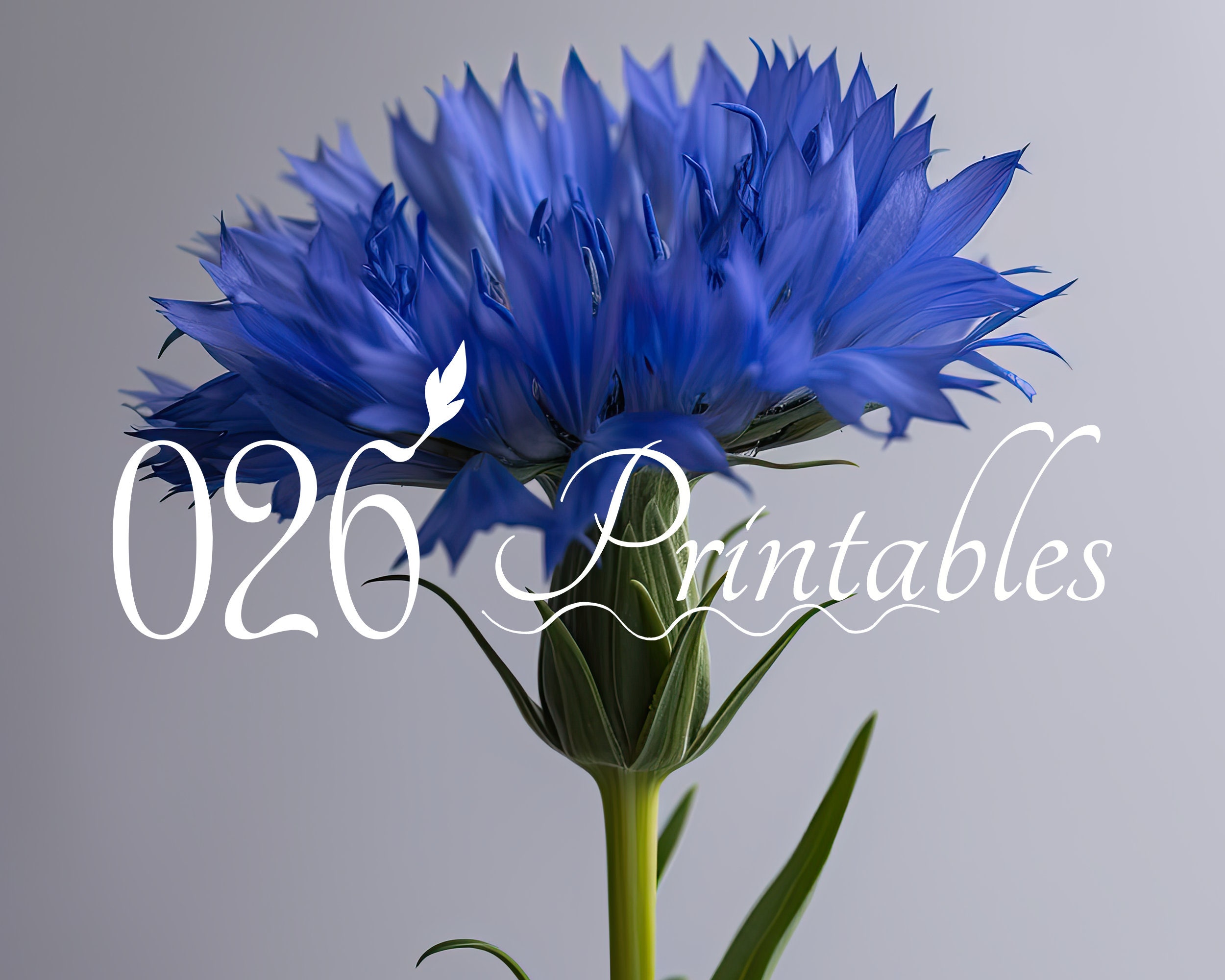 Cornflower Printable Wall Art, Cornflower Print, Blue Floral Art ...