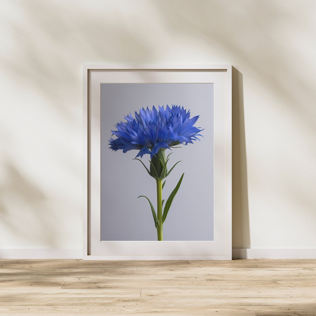 Cornflower Printable Wall Art, Cornflower Print, Blue Floral Art ...