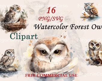 Forest Owl Clipart – Whimsical Watercolor PNG, Woodland Animal Art