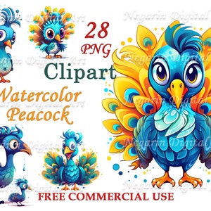 Cute Peacock Watercolor Clipart – Colorful Bird PNG, Sublimation & Digital Download