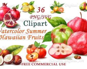 Tropisk frukt Clipart – Akvarell Hawaiiansk Sommar PNG Set