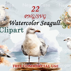 Clipart mouette aquarelle : oiseau côtier PNG SVG (téléchargement numérique)