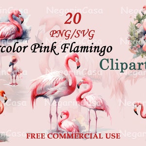 Pink Flamingo Clipart – Watercolor Tropical Bird PNG, Feminine Decor Art