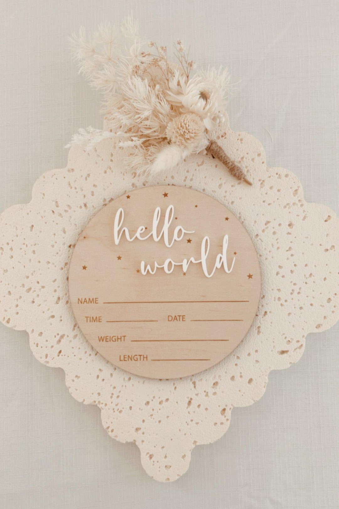 Hello World birth announcement Plague main image 1
