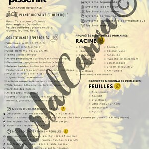 Dandelion Fact Sheet
