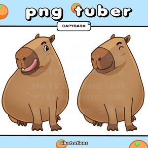 PNGTuber - Capybara | 4 EXPRESSIONS |  Cute | Kawaii | Twitch | YouTube | Capy | Vtuber | Veadotube | Ready to Use for OBS Streamlabs