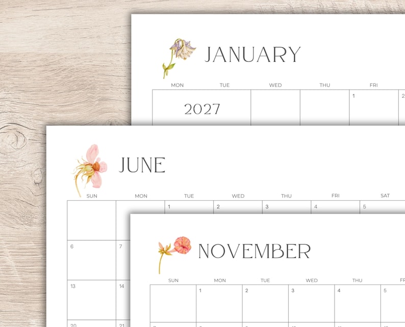 2027 Printable Calendar | 12 Month Planner | Minimalist Botanical Flowers | Sunday & Monday Start image 1