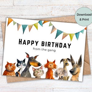 Happy Birthday, Printable Birthday Card from the gang, coworkers, funny cats and dogs, instant download, DIY card, blank inside 7x5 PDF