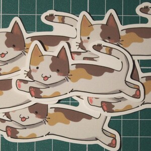 Calico Cat ⊹₊⋆ Vinyl Sticker