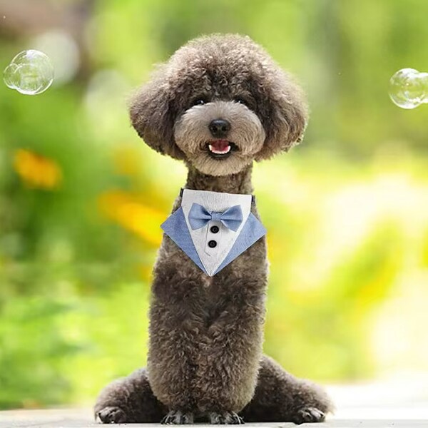 Tuxedo Bow Tie Dog Collar