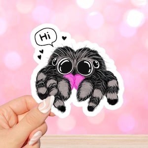 Puede incluir: Una pegatina con una ilustración de dibujos animados de dos arañas saltarinas con ojos grandes y un corazón rosa entre ellas. El texto "Hi" está en un bocadillo de diálogo sobre las arañas.