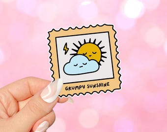 Pegatina con tema romántico Grumpy Sunshine para Kindles, lectores electrónicos, regalos para amantes de los libros, obsceno, computadoras portátiles, botellas de agua, picante
