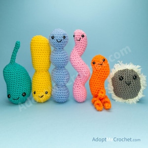 Bacteria Microbiology Crochet Plush Amigurumi Biology Series (Cocci, Bacilli, Spirilla, Vibrio, Heliobacter, E.coli)