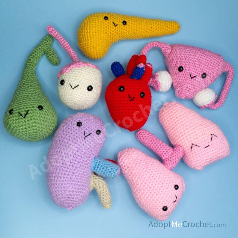 Organ Anatomy Series Crochet Plush Amigurumi (gallbladder, Heart ...