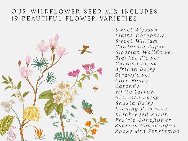 Baby Shower Favors Baby Shower Seed Packet Favors Baby In Bloom